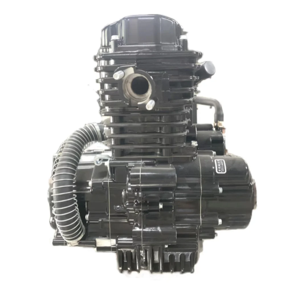 Motorcycle Engine Zongshen 250cc Tricycle Air-Cooled Center Axle 250cc Motor Starter Motorbike Spare Parts Three-Wheel Engine