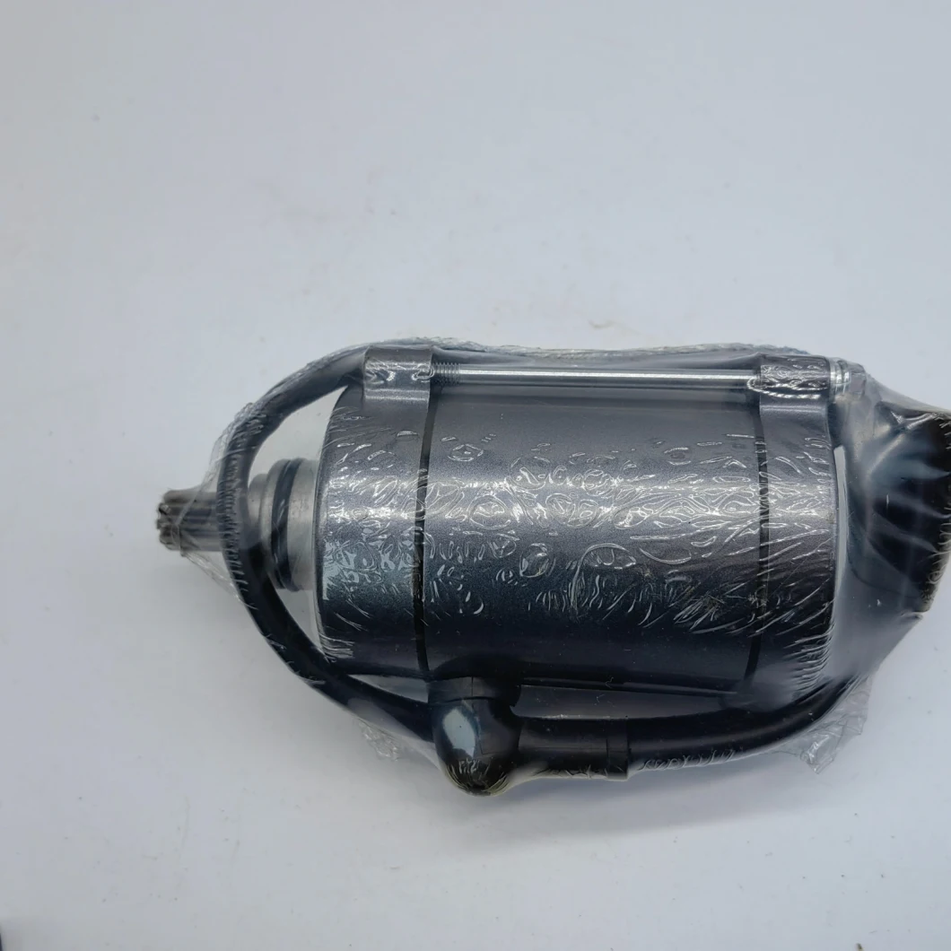 Motorcycle Starting Motor